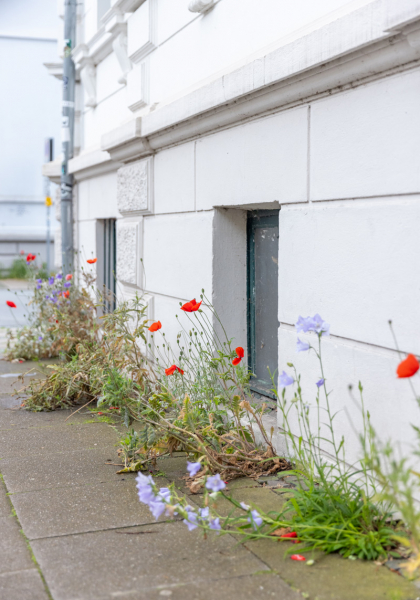 strassenrand Citytrip Bielefeld decohome.de ph Mareike Boehmer