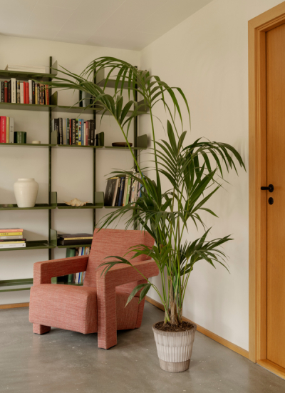 Kentiapalme in Leseecke Bergs Atlas giftige Zimmerpflanzen decohome.de