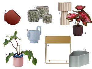 Pflanztoepfe Auswahl giftige Zimmerpflanzen decohome.de