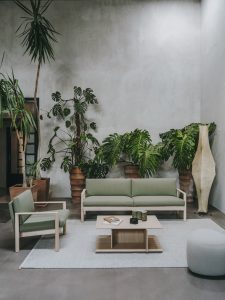 Zimmerpflanzen gruenes Sofa Lapalma 10 30 SalvaLopez decohome.de