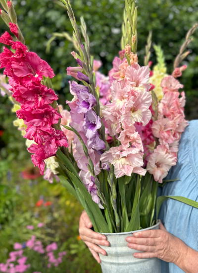 Osterdeko fam 0864 mix zinken emmer gladiolen high decohome.de