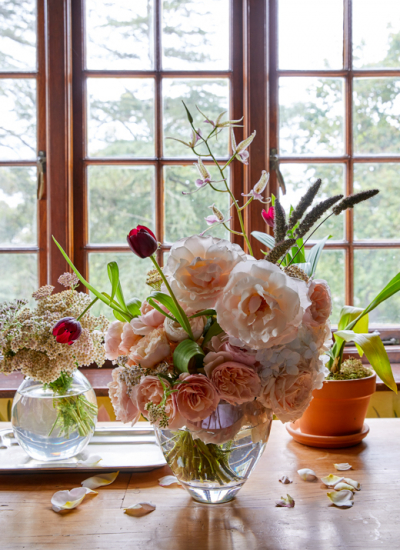 le grand jardin decohome.de