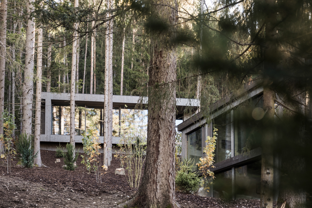 Wald-Spa im AKI Family Resort