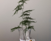farn herbstdeko minimalistisch birneBergs Potter KGC15V clear 0594 totem 2025 AH decohome.de