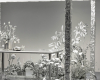 FLOVER New York x Crosby Studios decohome.de