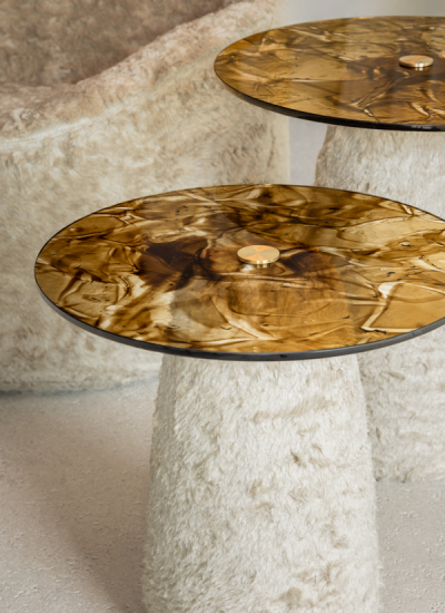 Aifunghi Bolete Natural detail photo by Robin Noordam decohome.de