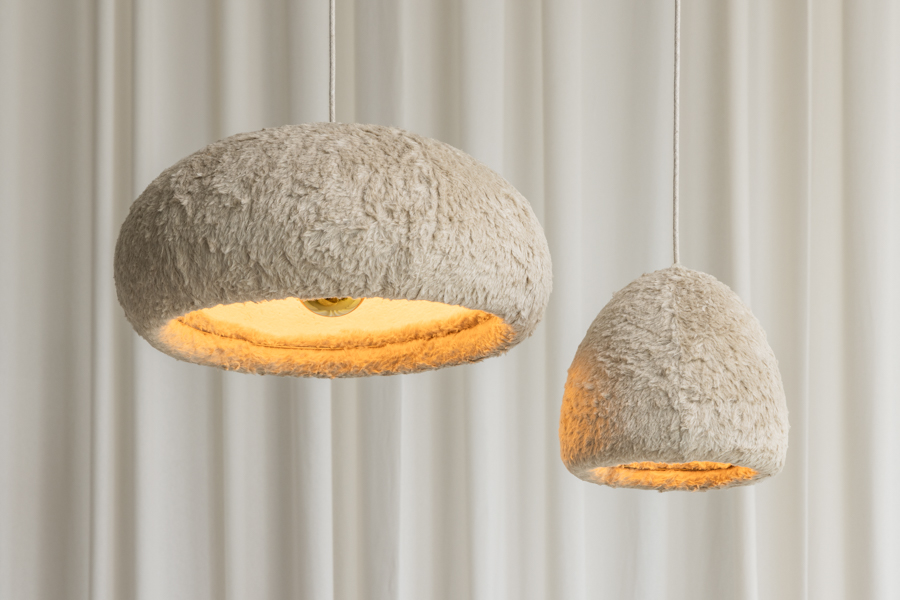 Aifunghi Porcini Campinio set photo by Robin Noordam Myzelium decohome.de