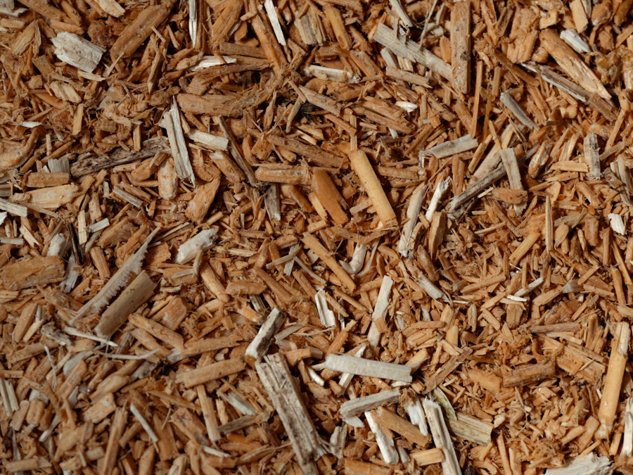 Myzelium Verwendung Rund Linda Deutsch decohome.de