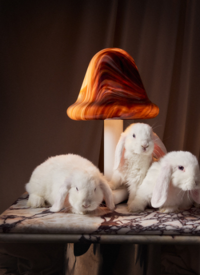 O.BTCxBS Neo Vanilla World FT720OP:B 3