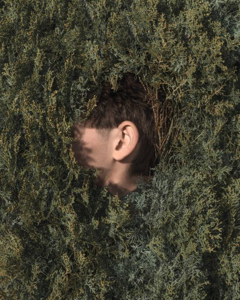 Mailänder Möbelmesse Molteni&C 01 Responsive Nature Artwork by Brooke DiDonato courtesy Galerie Wilm decohome.de