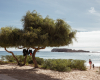 Martinhal Sagres beach portugal hotel decohome.de
