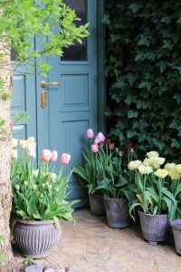 Bergs Potter Tulpen vor Türe decohome.de Bergs Potter Tulpen vor Türe decohome.de